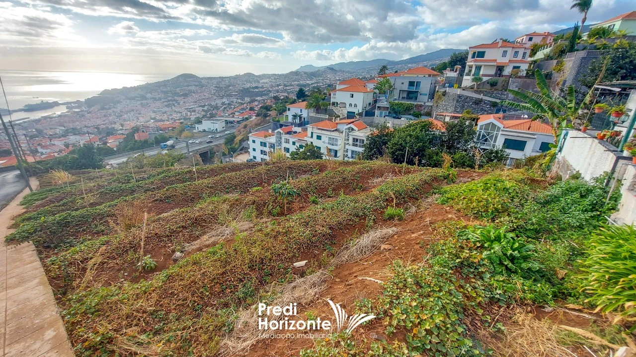 Terreno Agricola ou Rústico para Venda em Funchal (Santa Maria Maior) Foto 6