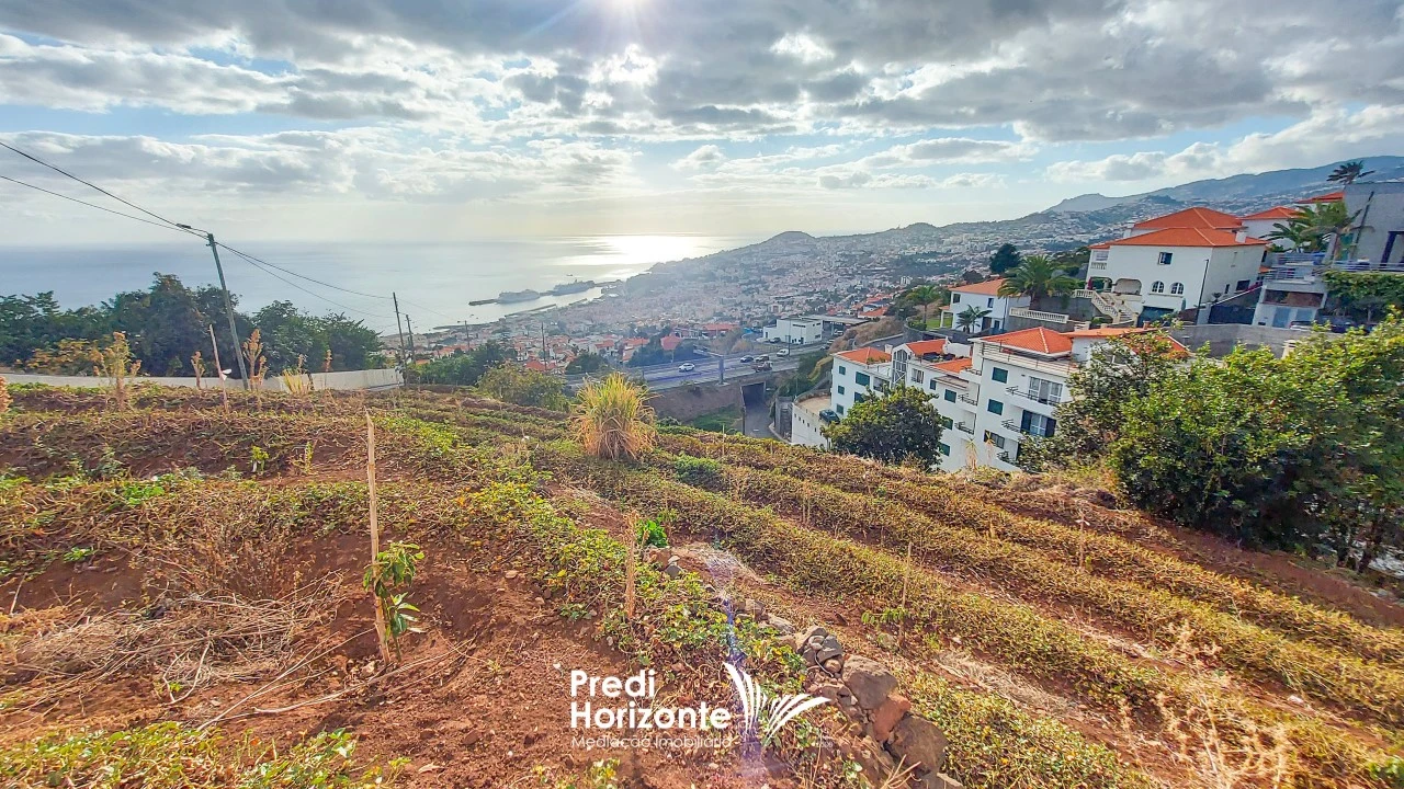 Terreno Agricola ou Rústico para Venda em Funchal (Santa Maria Maior) Foto 8