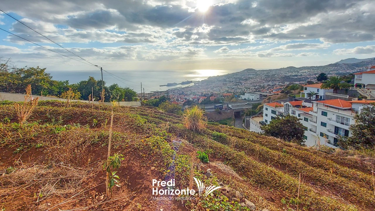 Terreno Agricola ou Rústico para Venda em Funchal (Santa Maria Maior) Foto 10