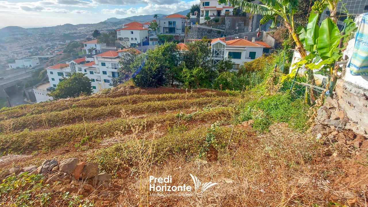 Terreno Agricola ou Rústico para Venda em Funchal (Santa Maria Maior) Foto 11