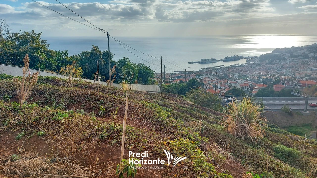 Terreno Agricola ou Rústico para Venda em Funchal (Santa Maria Maior) Foto 3