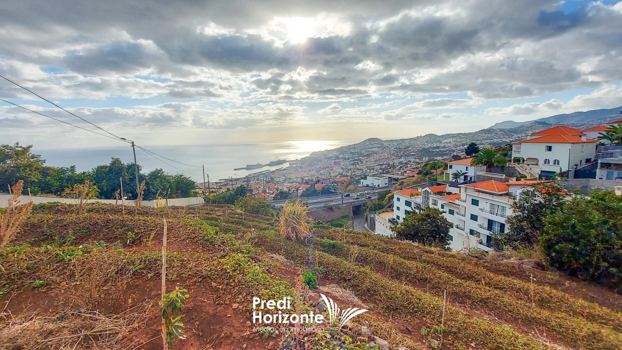 Terreno Agricola ou Rústico para Venda em Funchal (Santa Maria Maior) Foto 14
