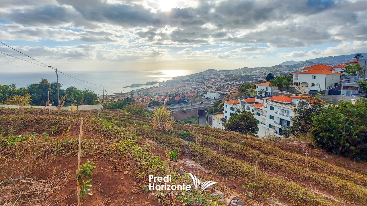 Terreno Agricola ou Rústico para Venda em Funchal (Santa Maria Maior) Foto 15