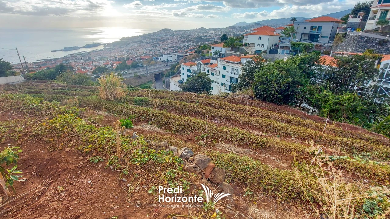 Terreno Agricola ou Rústico para Venda em Funchal (Santa Maria Maior) Foto 16