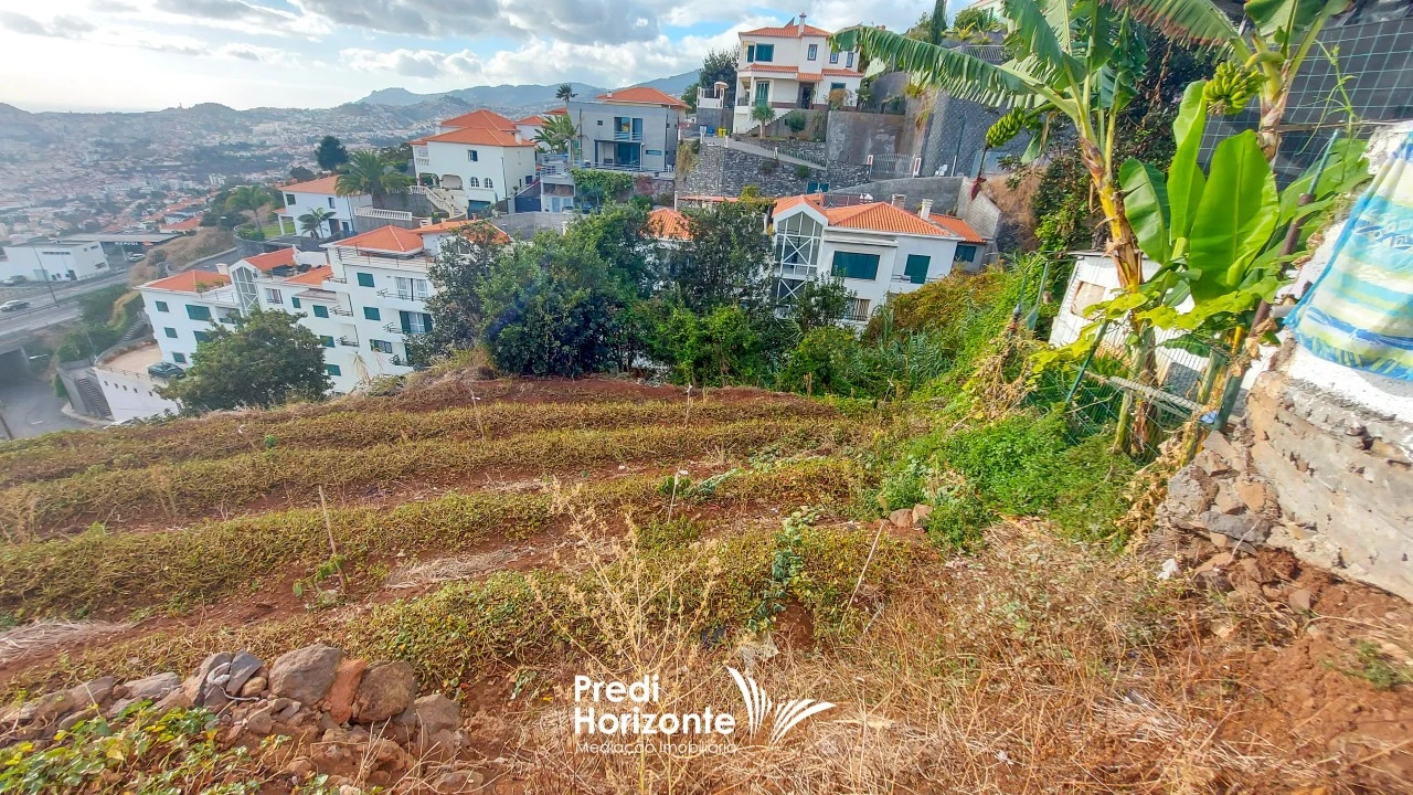 Terreno Agricola ou Rústico para Venda em Funchal (Santa Maria Maior) Foto 18