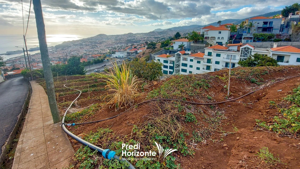 Terreno Agricola ou Rústico para Venda em Funchal (Santa Maria Maior) Foto 21