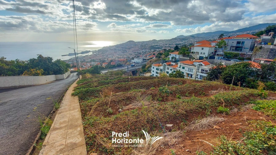 Terreno Agricola ou Rústico para Venda em Funchal (Santa Maria Maior) Foto 2