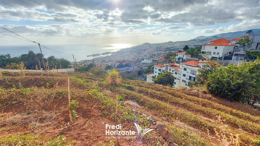 Terreno Agricola ou Rústico para Venda em Funchal (Santa Maria Maior) Foto 8