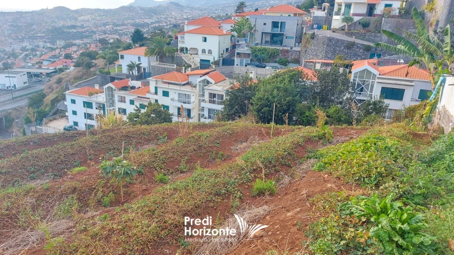 Terreno Agricola ou Rústico para Venda em Funchal (Santa Maria Maior) Foto 5