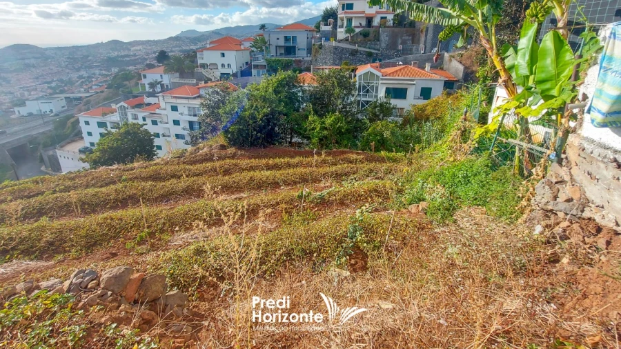 Terreno Agricola ou Rústico para Venda em Funchal (Santa Maria Maior) Foto 11