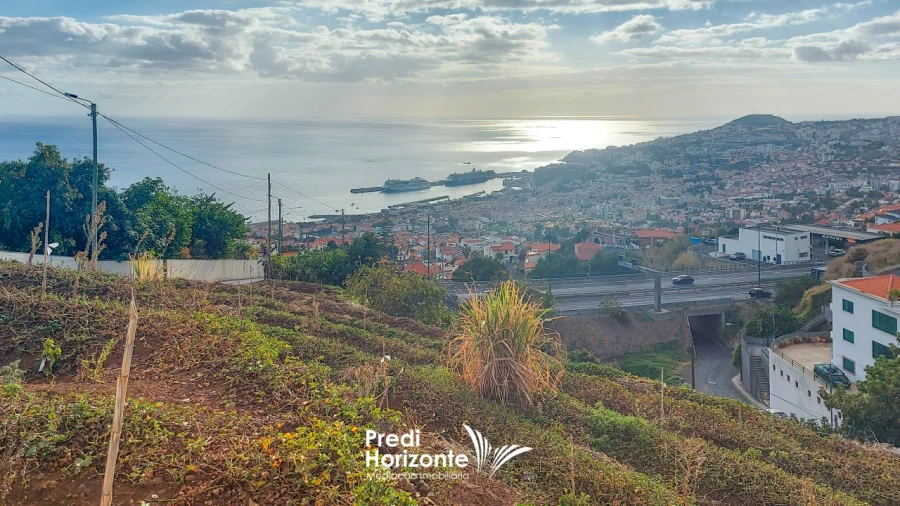 Terreno Agricola ou Rústico para Venda em Funchal (Santa Maria Maior) Foto 13