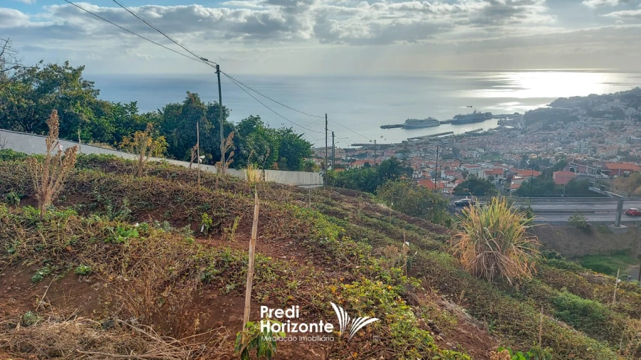 Terreno Agricola ou Rústico para Venda em Funchal (Santa Maria Maior) Foto 3