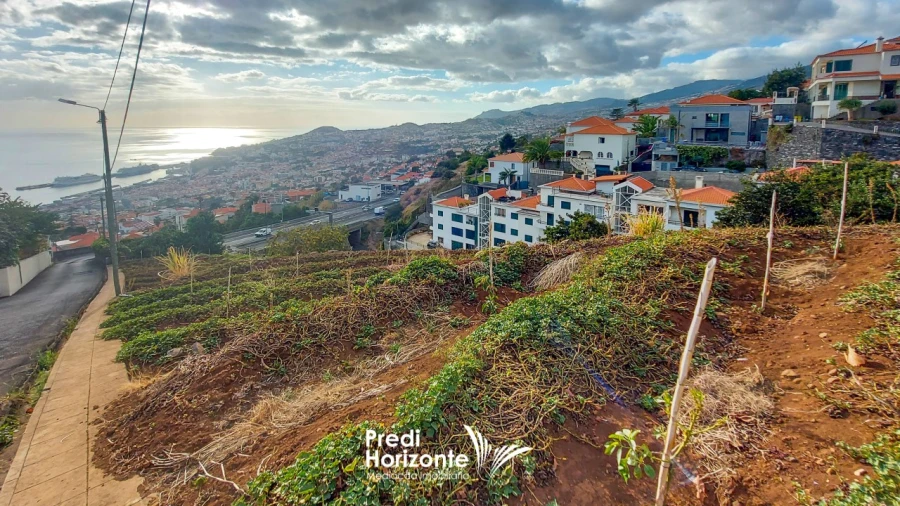 Terreno Agricola ou Rústico para Venda em Funchal (Santa Maria Maior) Foto 19