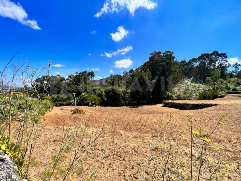 Armazém para Venda em Seixas Foto 10