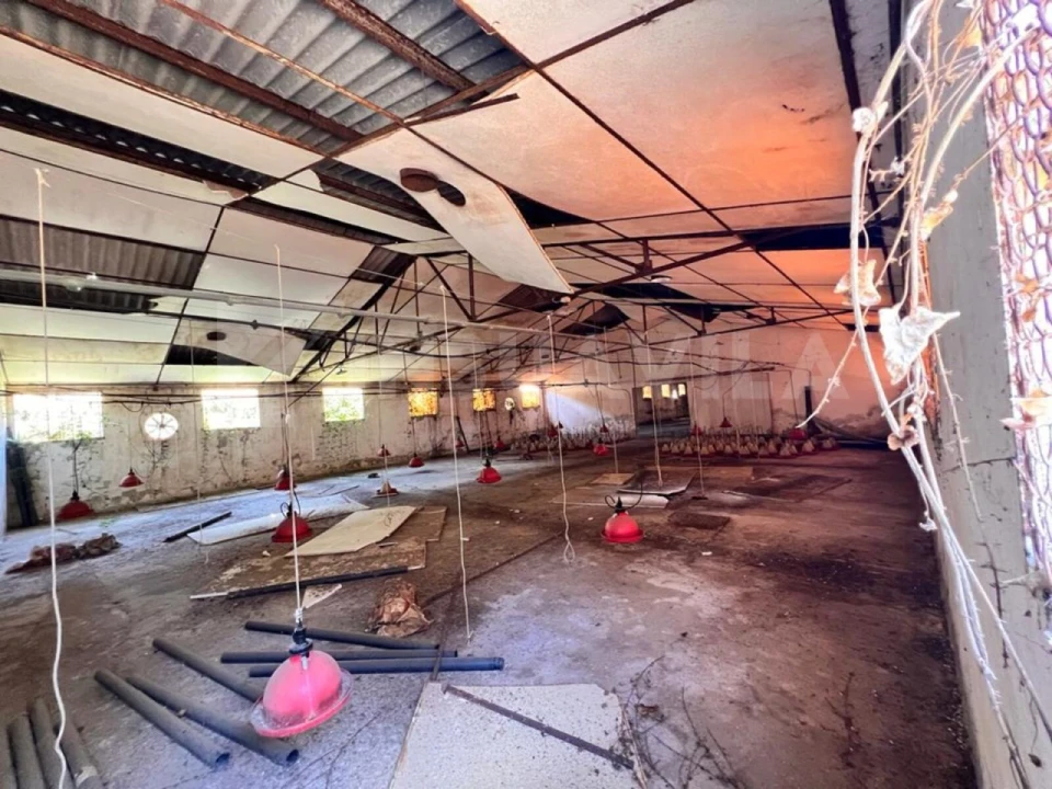 Armazém para Venda em Seixas Foto 18