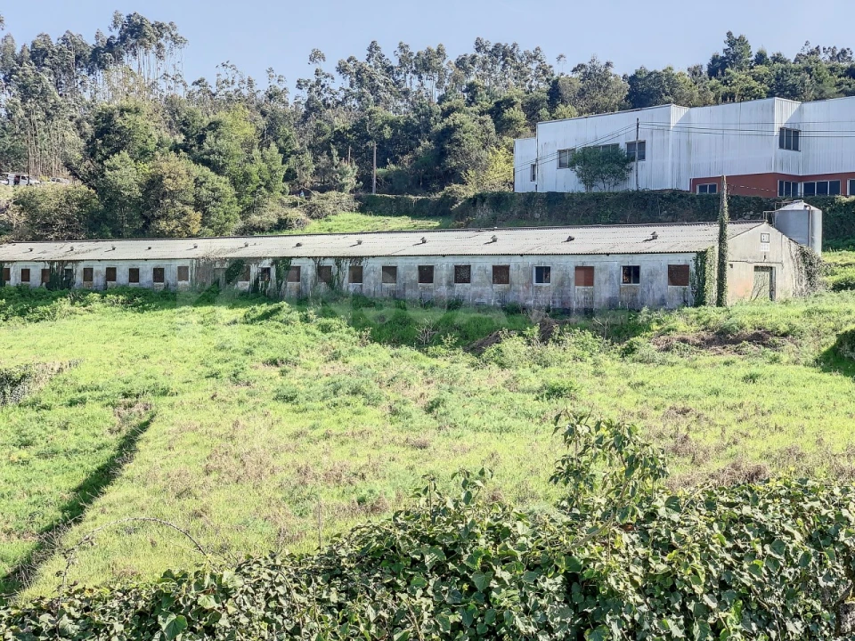 Armazém para Venda em Seixas Foto 3
