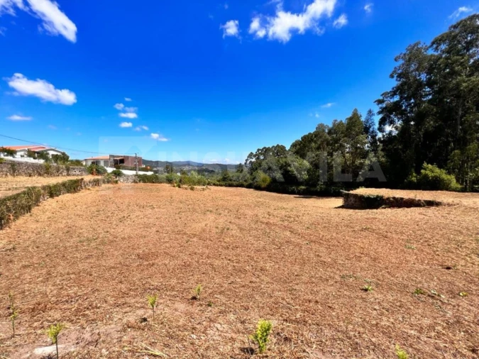 Armazém para Venda em Seixas Foto 14