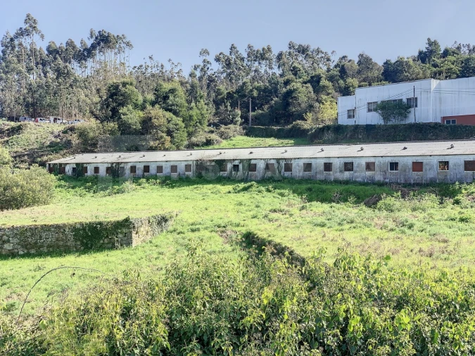 Armazém para Venda em Seixas Foto 5