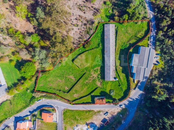 Armazém para Venda em Seixas Foto 2