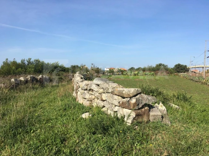 Terreno para Venda em Vila Praia de Ancora Foto 8