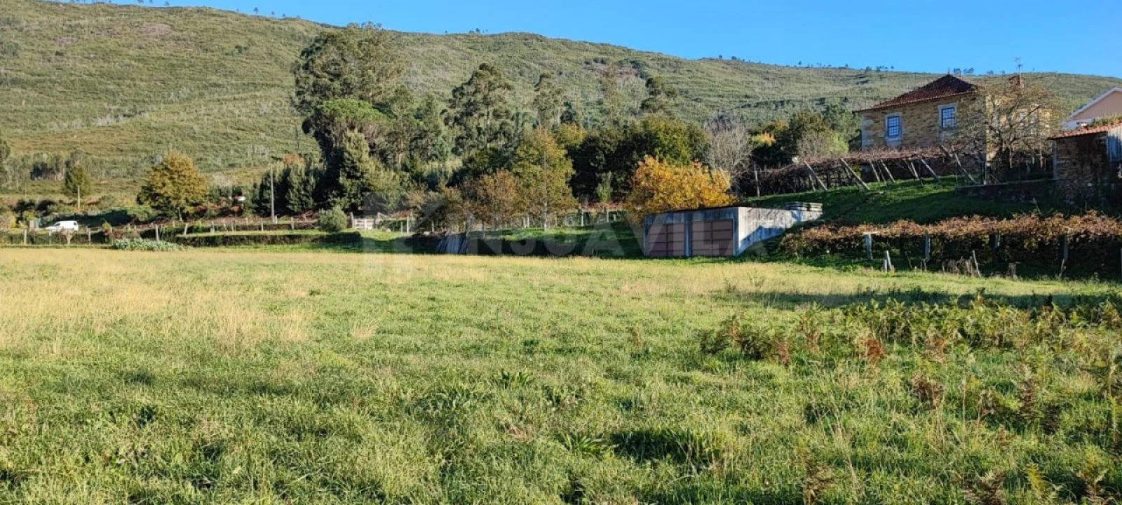 Quinta T5 para Venda em Venade e Azevedo Foto 3