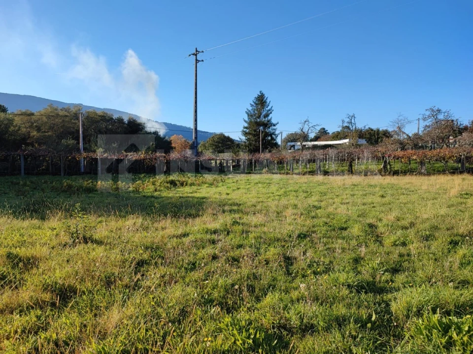 Quinta T5 para Venda em Venade e Azevedo Foto 7