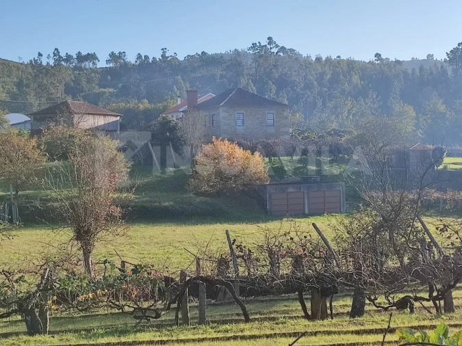 Quinta T5 para Venda em Venade e Azevedo Foto 2