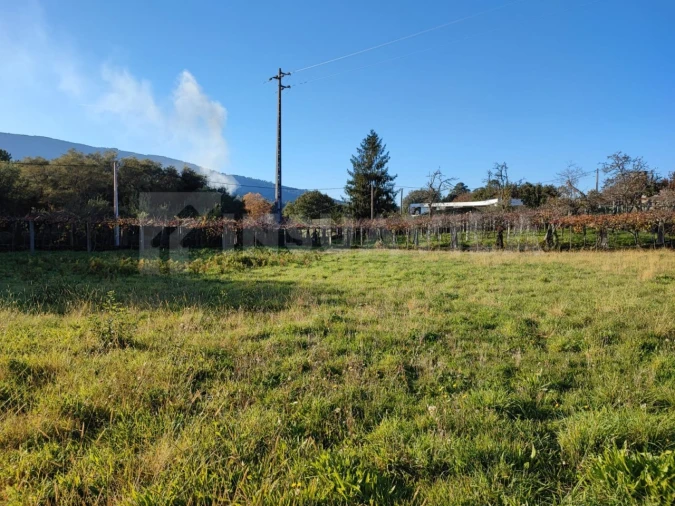 Quinta T5 para Venda em Venade e Azevedo Foto 7