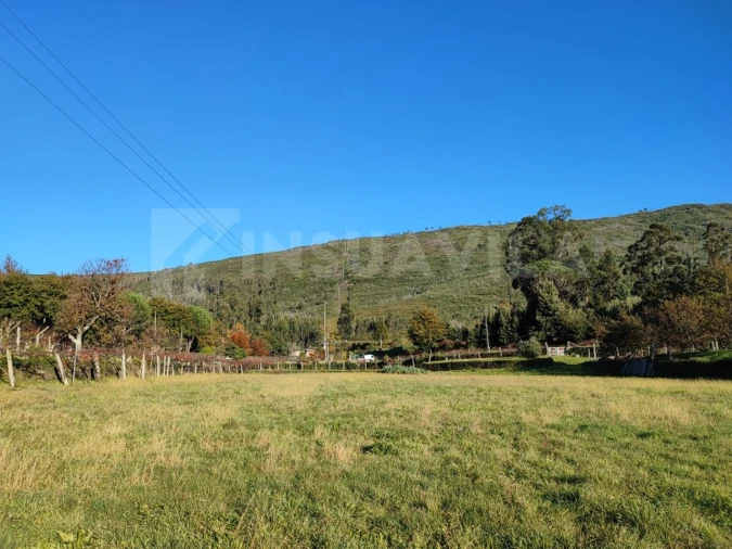 Quinta T5 para Venda em Venade e Azevedo Foto 8