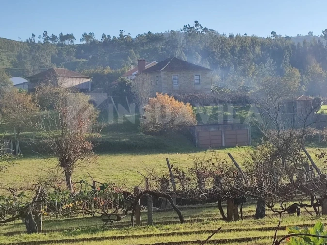 Quinta T5 para Venda em Venade e Azevedo Foto 9