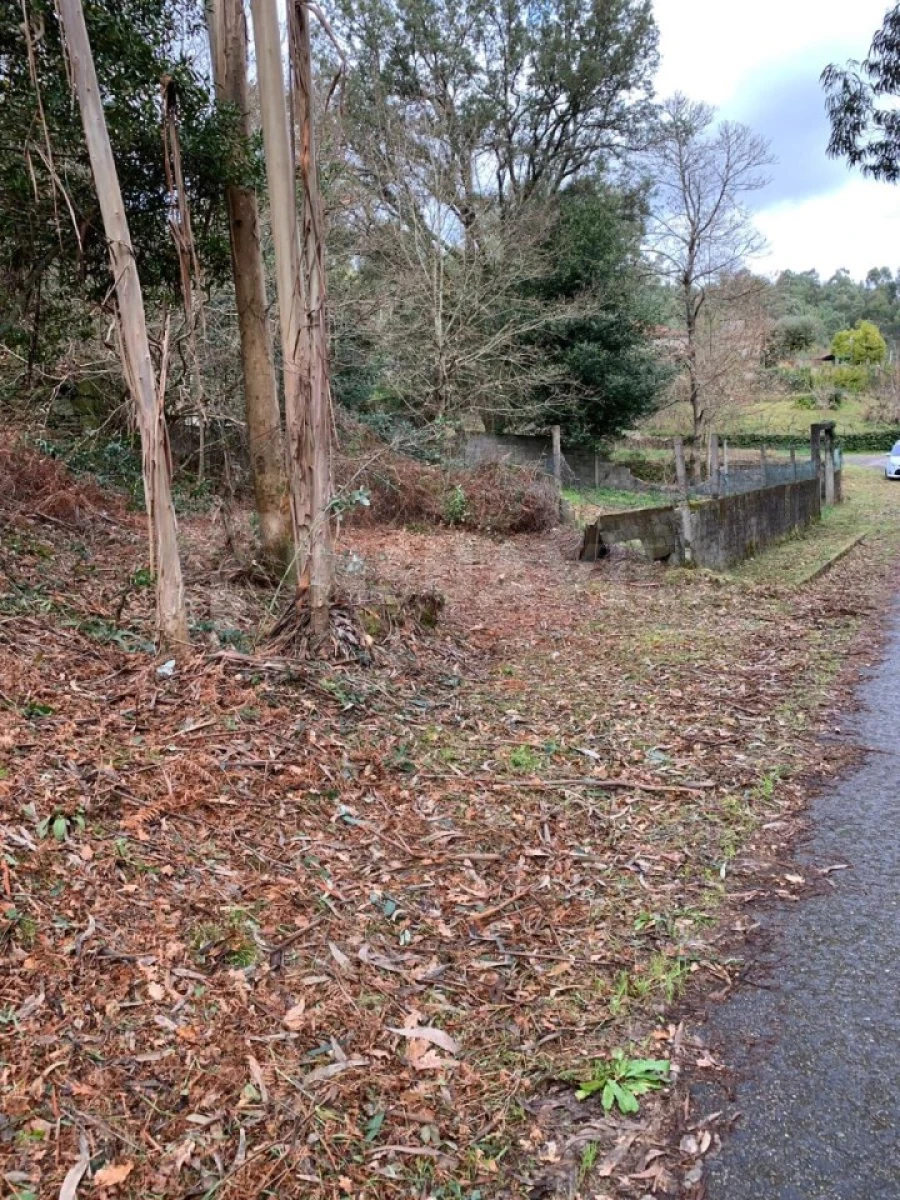 Terreno para Venda em Vilar de Mouros Foto 5