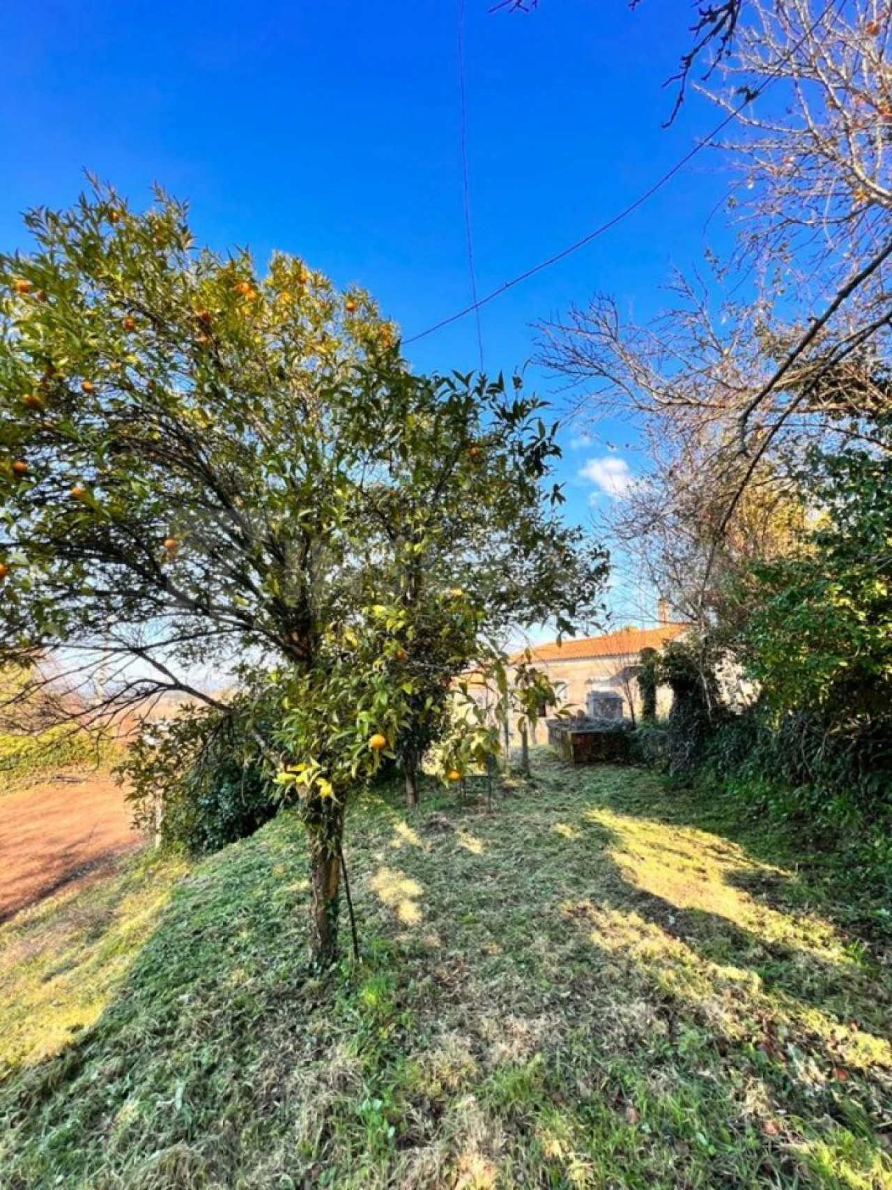 Moradia T2 para Venda em Gondarem Foto 26