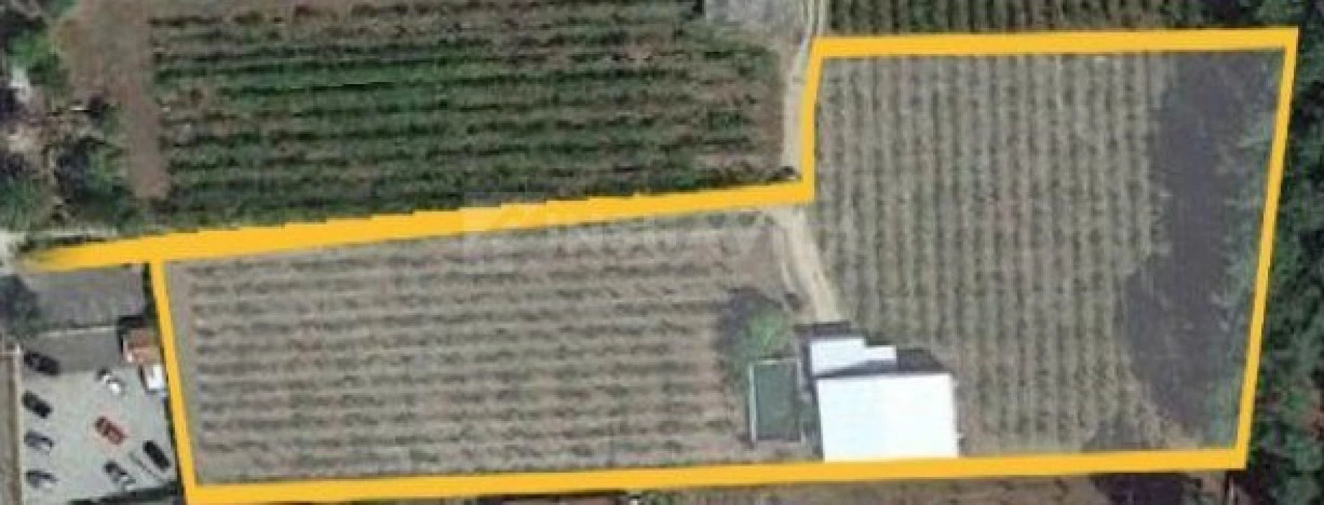 Terreno para Venda em Pinheiros Foto 5