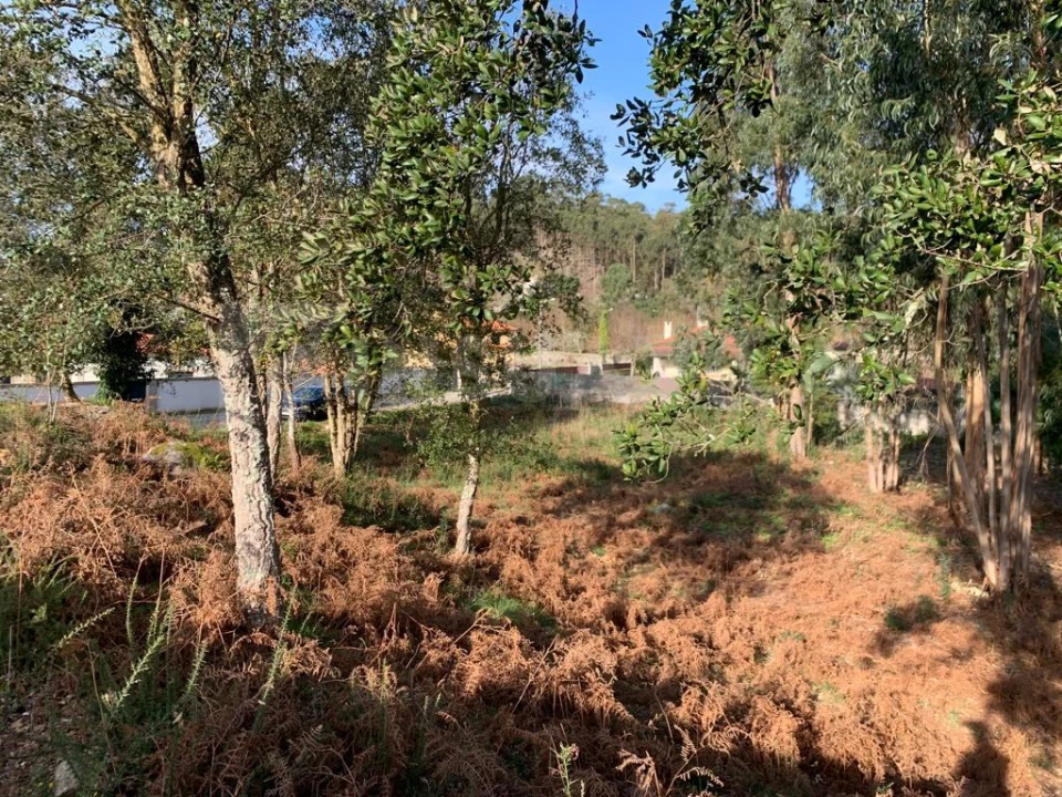 Terreno para Venda em Vilar de Mouros Foto 15