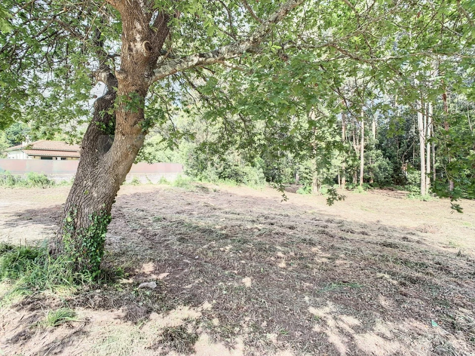 Terreno para Venda em Vilar de Mouros Foto 4