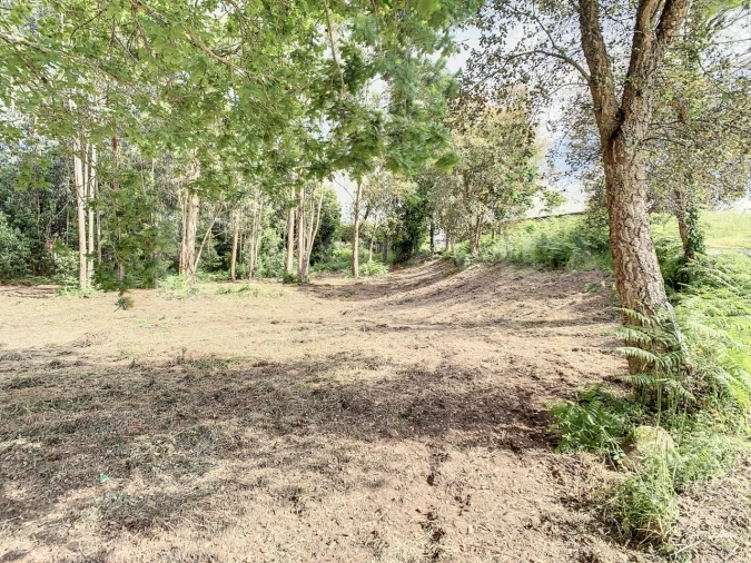 Terreno para Venda em Vilar de Mouros Foto 3