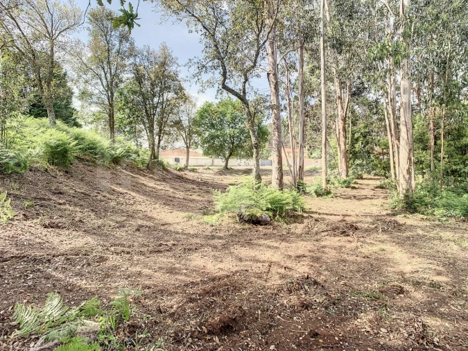 Terreno para Venda em Vilar de Mouros Foto 9