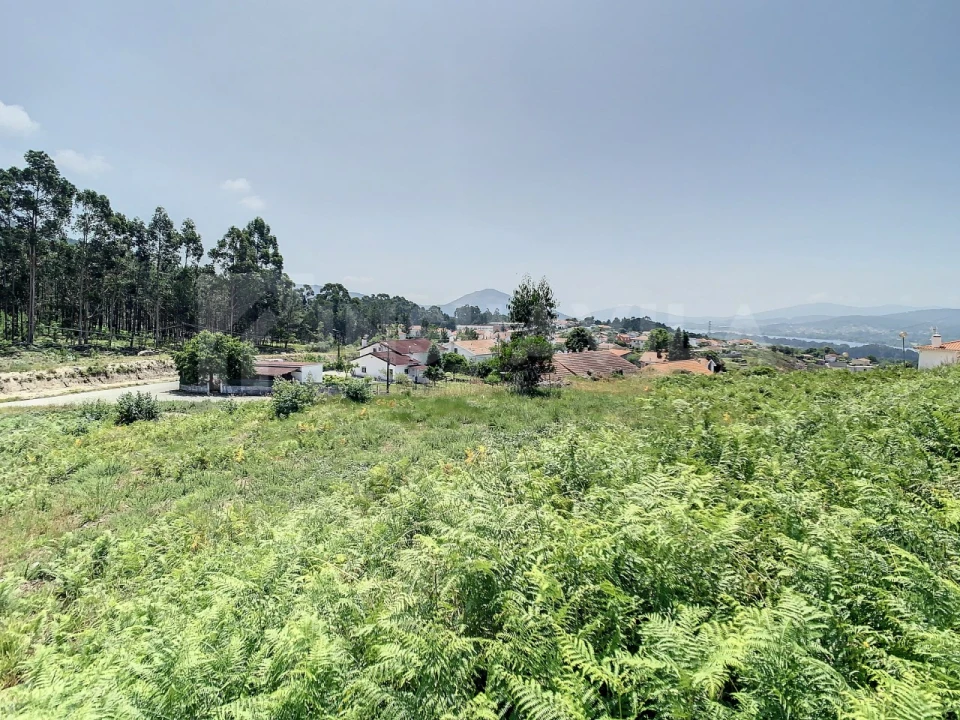 Terreno para Venda em Loivo Foto 9