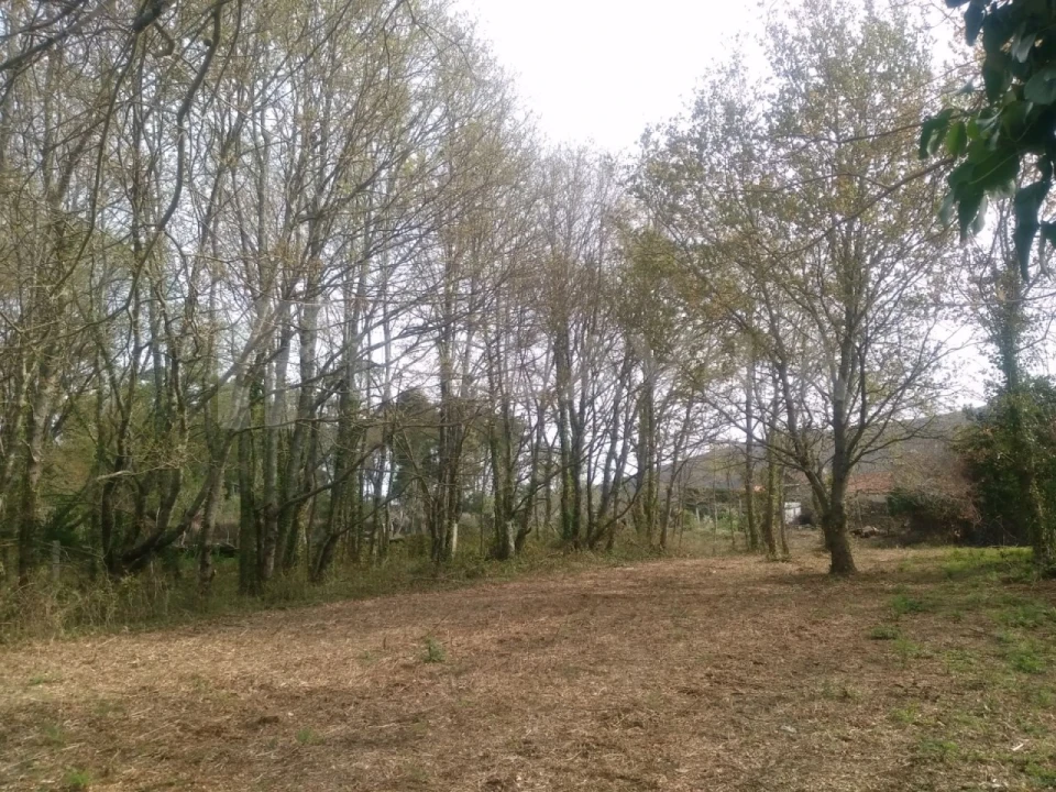 Quinta T1 para Venda em Venade e Azevedo Foto 23