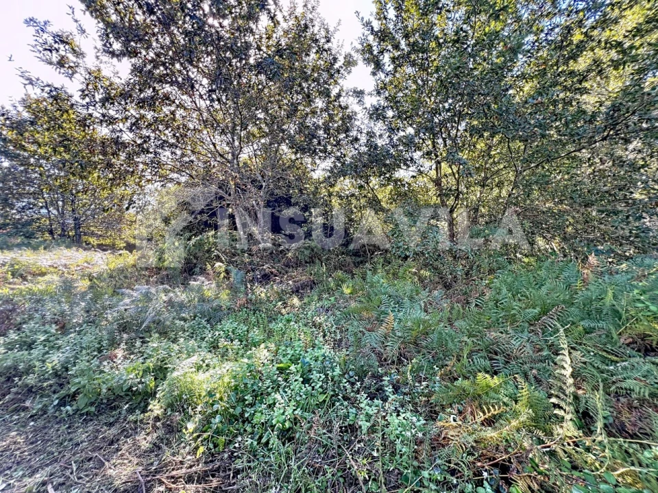 Quinta T1 para Venda em Venade e Azevedo Foto 17