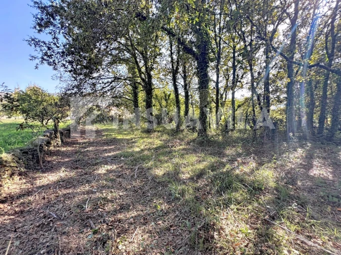 Quinta T1 para Venda em Venade e Azevedo Foto 10