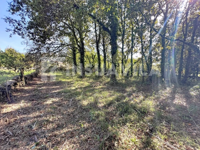 Quinta T1 para Venda em Venade e Azevedo Foto 11