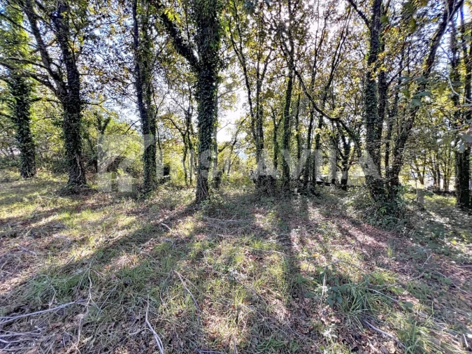 Quinta T1 para Venda em Venade e Azevedo Foto 12