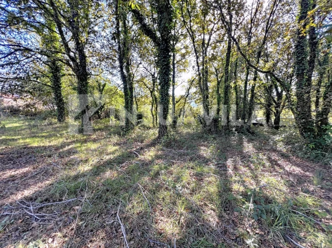 Quinta T1 para Venda em Venade e Azevedo Foto 14