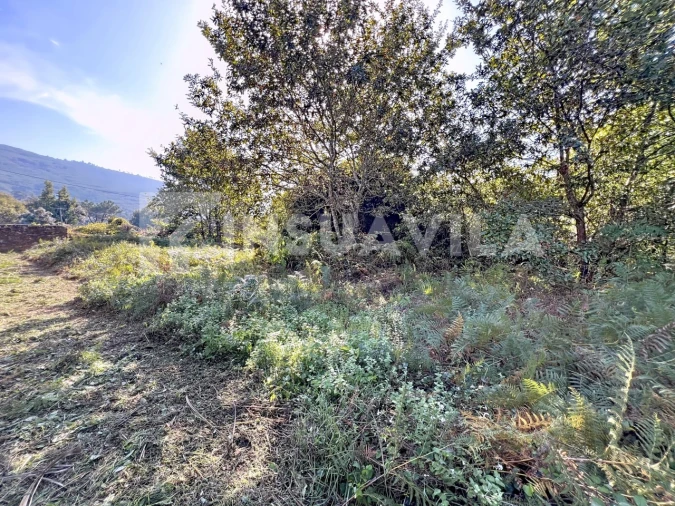 Quinta T1 para Venda em Venade e Azevedo Foto 15