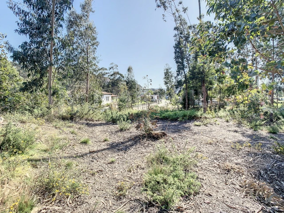 Terreno para Venda em Vilar de Mouros Foto 9