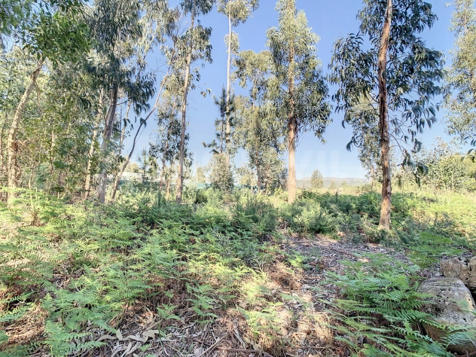 Terreno para Venda em Vilar de Mouros Foto 17