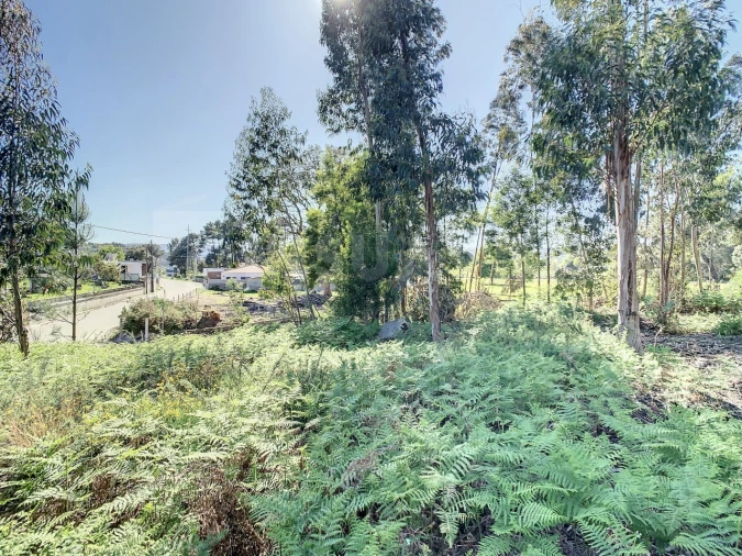 Terreno para Venda em Vilar de Mouros Foto 19