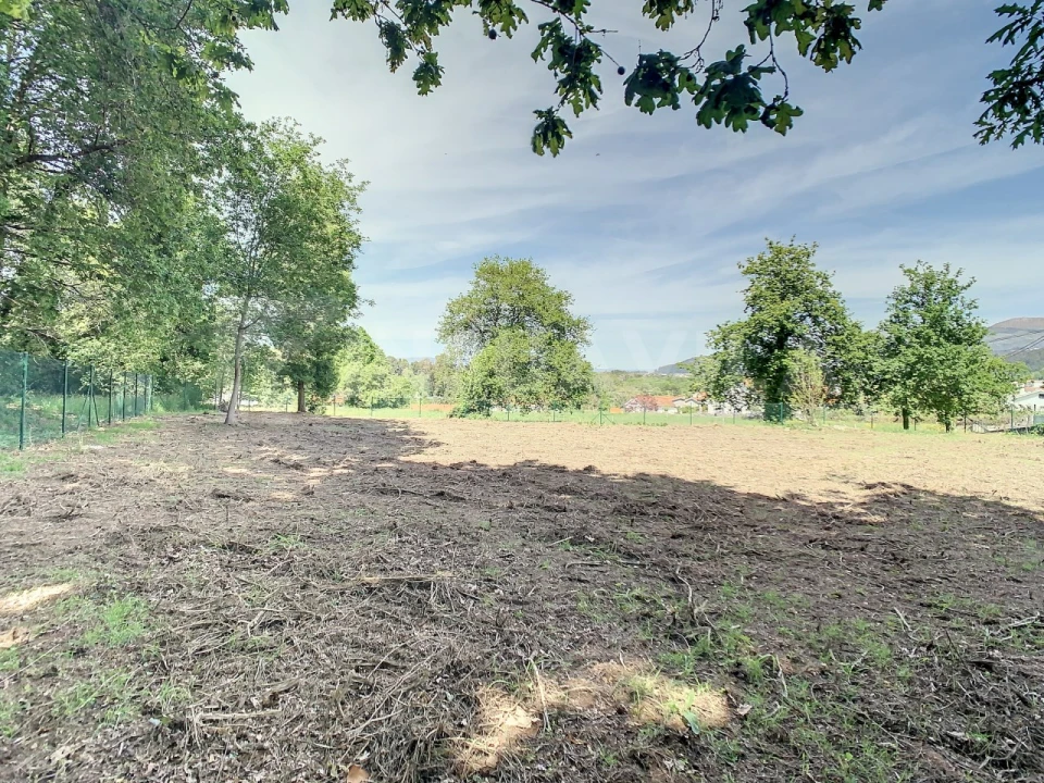 Terreno para Venda em Gondarem Foto 7