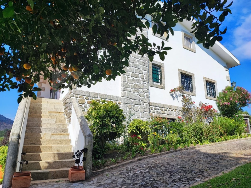 Quinta T7 para Venda em Vilar de Mouros Foto 11